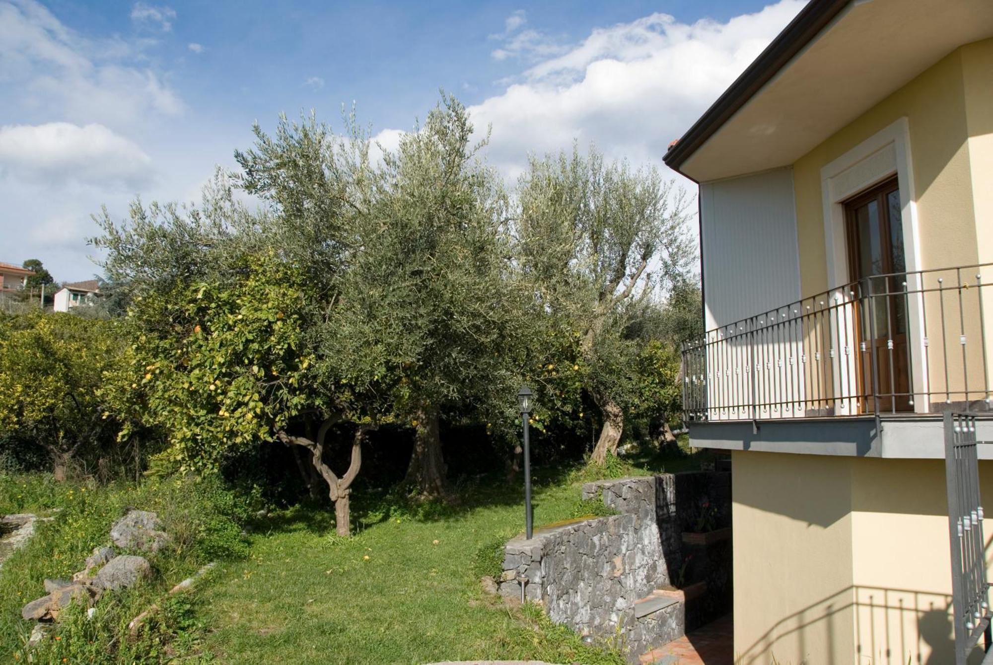 Biologico Dell'Etna Villa Trecastagni Exterior foto